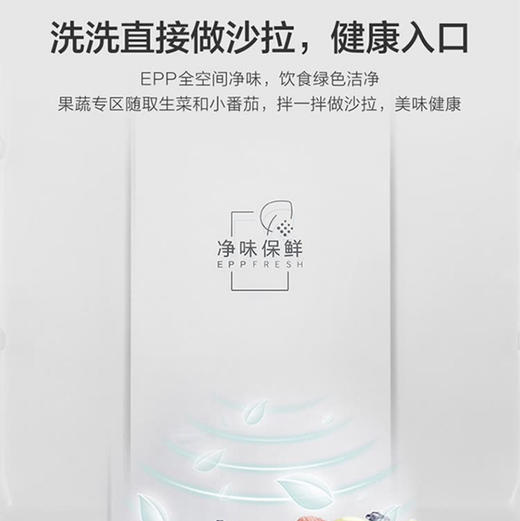 海尔（Haier）冰箱 BCD-217WGHC3E9C9U1 商品图6