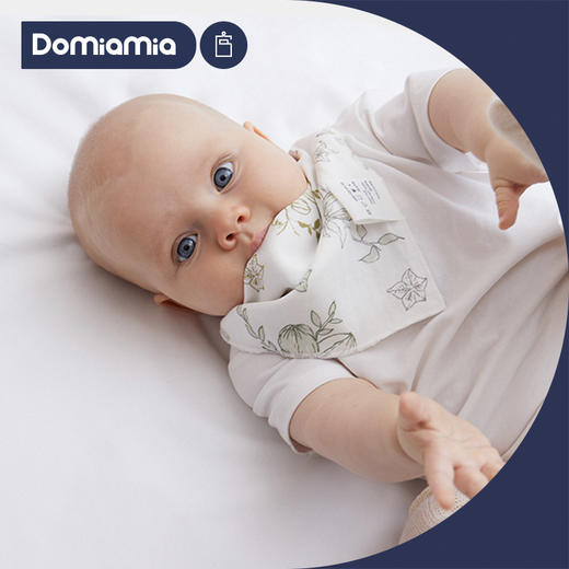 【2条装】Domiamia哆咪呀婴儿宝宝口水巾纱布三角巾新生儿围嘴喂奶巾 商品图0