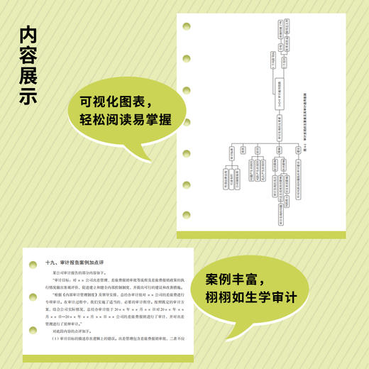 风险导向内bu审计实务指南 付淑威审计实务工具书财务会计审计计划 商品图3