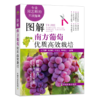 专业园艺师的不败指南系列（阳光玫瑰葡萄，蔬菜嫁接育苗，苹果，南方葡萄） 商品缩略图1