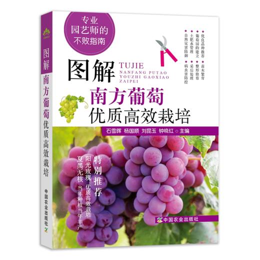 专业园艺师的不败指南系列（阳光玫瑰葡萄，蔬菜嫁接育苗，苹果，南方葡萄） 商品图1