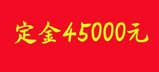 定金45000元 商品图0