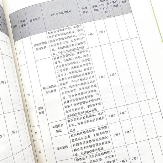 风险导向内bu审计实务指南 付淑威审计实务工具书财务会计审计计划 商品图8