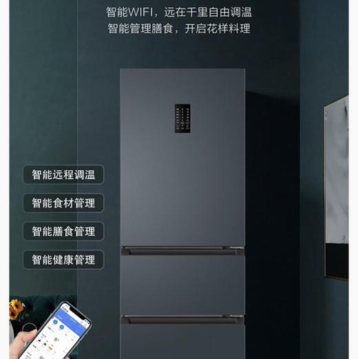 海尔（Haier）冰箱 BCD-217WGHC3E9C9U1 商品图5