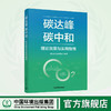 碳达峰碳中和理论政策与实用指南 商品缩略图0