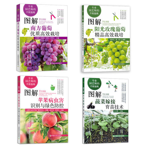专业园艺师的不败指南系列（阳光玫瑰葡萄，蔬菜嫁接育苗，苹果，南方葡萄） 商品图0