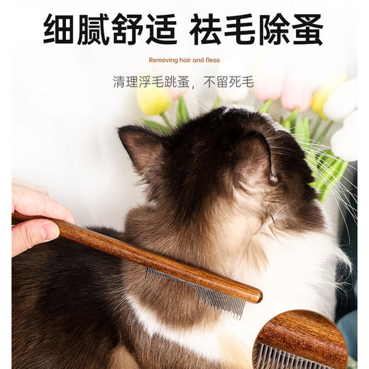 宠物梳子密齿开结排梳 猫咪祛浮毛 脱毛梳 狗狗美容去跳蚤木柄针梳 商品图2