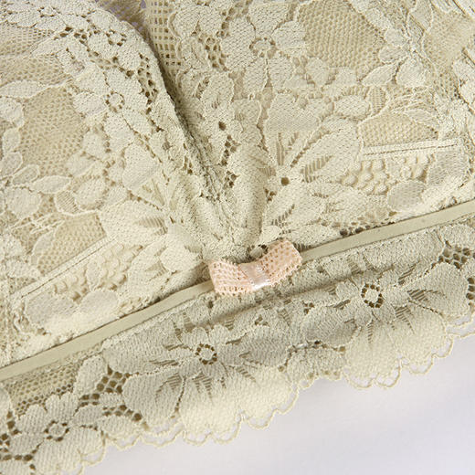 都市丽人内衣聚拢升杯B:中厚C:薄蕾丝四排扣无钢圈3/4杯常规文胸YB25A1 商品图4