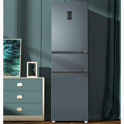 海尔（Haier）冰箱 BCD-217WGHC3E9C9U1 商品图1