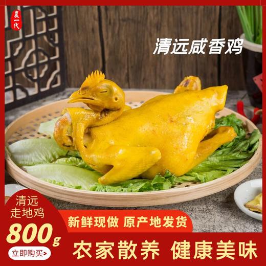 中宿麻鸡 广东清远咸香鸡800g 商品图0