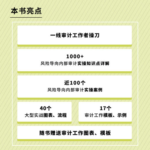 风险导向内bu审计实务指南 付淑威审计实务工具书财务会计审计计划 商品图2