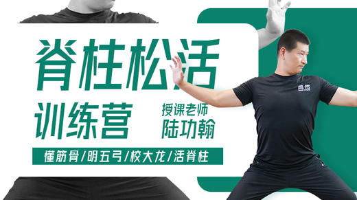 第5课：如何细分训练，掌握活脊步骤 商品图0