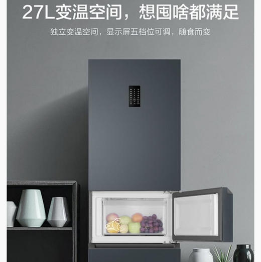 海尔（Haier）冰箱 BCD-217WGHC3E9C9U1 商品图4