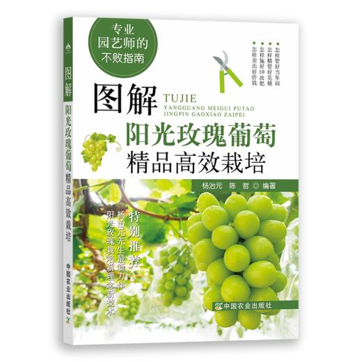 专业园艺师的不败指南系列（阳光玫瑰葡萄，蔬菜嫁接育苗，苹果，南方葡萄） 商品图3