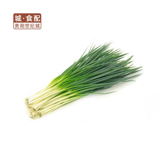 小葱250g/份【GYZH】 商品图0