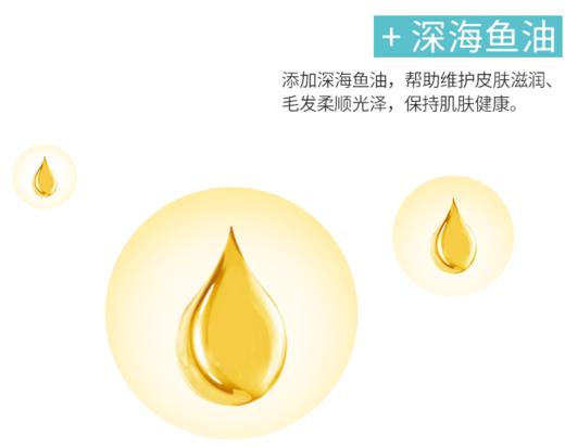 艾尔猫粮 深海鱼配方 幼猫成猫全阶段猫粮500g 商品图4