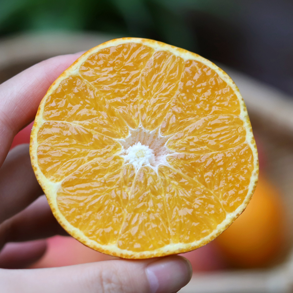 生态爱媛/果冻橙【基地直发】 | 来自四川眉山，8年生态种植，口感惊艳，汁水丰富，嫩滑细腻