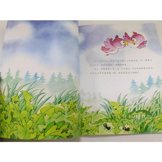 蒲公英和蝴蝶的约定：科普童话系列 商品图4