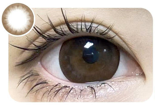 Agenscolor 年抛 布朗尼 直径14.5mm 商品图0