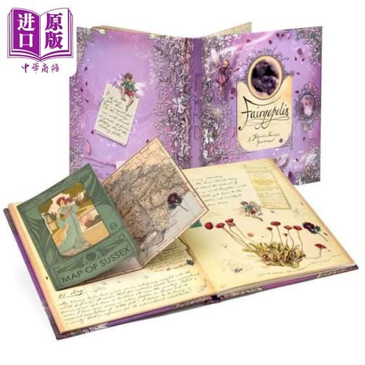 预售 【中商原版】Flower Fairies 精装英文中古绘本3册套装 花仙子魔法花园 花仙子日记 打开花仙子魔法之门 Cicely Mary Barker 商品图1