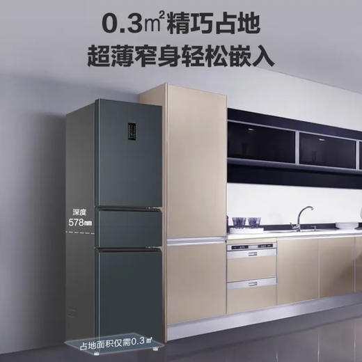 海尔（Haier）冰箱 BCD-217WGHC3E9C9U1 商品图10