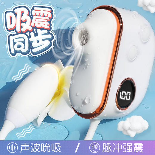 情趣新体验 | 一头强震·一头吮吸の礼盒式女用情趣玩具 商品图1