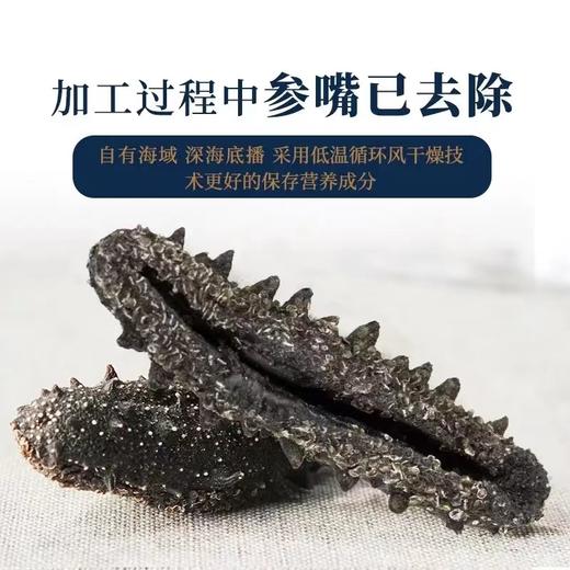 好当家 佳品干海参250g 深海底播(121-140头/500g)亲友礼赠 海味山珍 营养滋补 48小时发货 商品图4