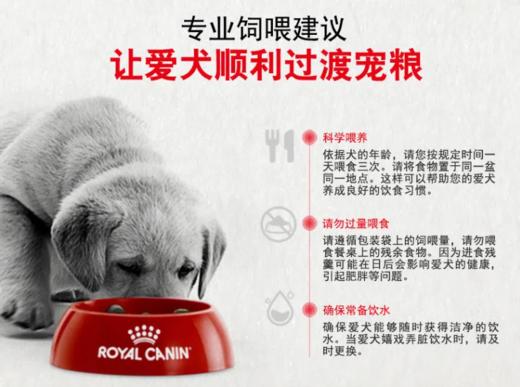 皇家狗粮居家小型犬成犬粮 1.5kg 商品图1