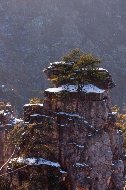 1月12日确定出发【颂雪·冬韵•张家界】日出•云海•雾凇5天摄影 商品图14