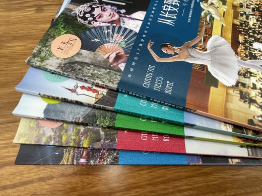 从长安到罗马（全5册）央视同名4K微纪录片 从古至今一路讲述从长安到罗马的文明传奇 商品图2