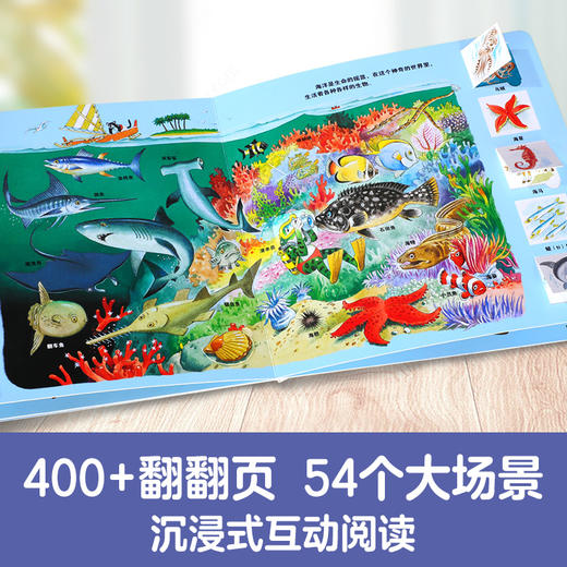 乐乐趣-托尼·沃尔夫翻翻书（9册） 商品图3