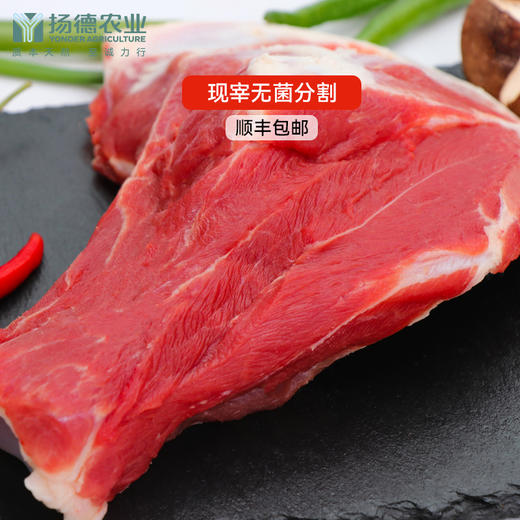 【预定年猪，超级划算】年猪、团购、大宗预定请直接联系客服 商品图1