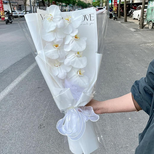 《幸福向你飞来》单枝蝴蝶兰花束（下单请备注颜色） 商品图9