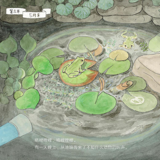 《科学之友·大自然里的博物课》（共7册） 商品图10