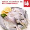 白鲳鱼（特大）| 深海野生海钓海鲜 商品缩略图2