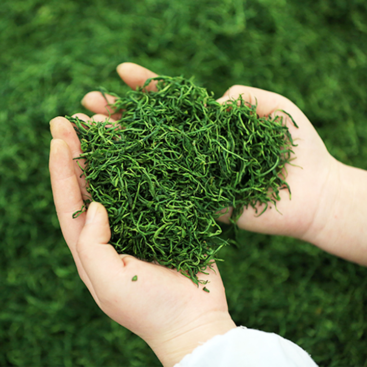 【奢香贡茶】多种规格多种包装 优质产地 老树茶 精心栽培 自然晾晒 传统工艺 