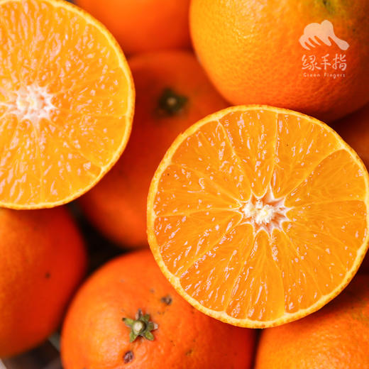 生态四川爱媛 | 合作生产 * Ecological Eyuan  | Coproduction 商品图7