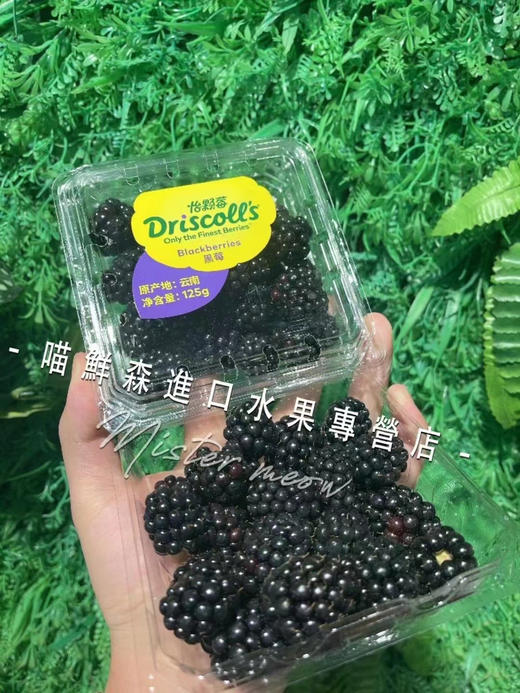 🛵怡颗莓黑莓（酸甜口）花青素爆满 商品图0