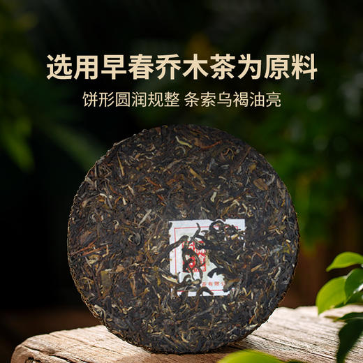澜沧古茶2012年早春乔木普洱生茶大饼357g 商品图1
