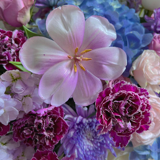 《银河璀璨》梦幻优雅紫色抱抱桶 商品图5