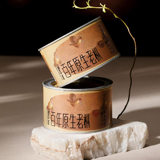 正山堂 宋风雅韵百年老枞礼盒装正山小种红茶特级茶叶送礼100g 商品图1