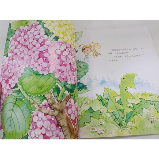 蒲公英和蝴蝶的约定：科普童话系列 商品图2