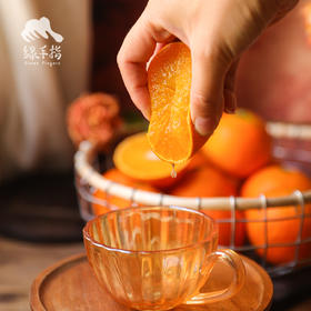 生态四川爱媛 | 合作生产 * Ecological Eyuan  | Coproduction