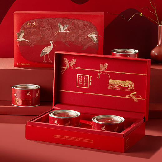 正山堂 宋 风雅韵 骏眉红礼盒装正山小种红茶特级100g 商品图0
