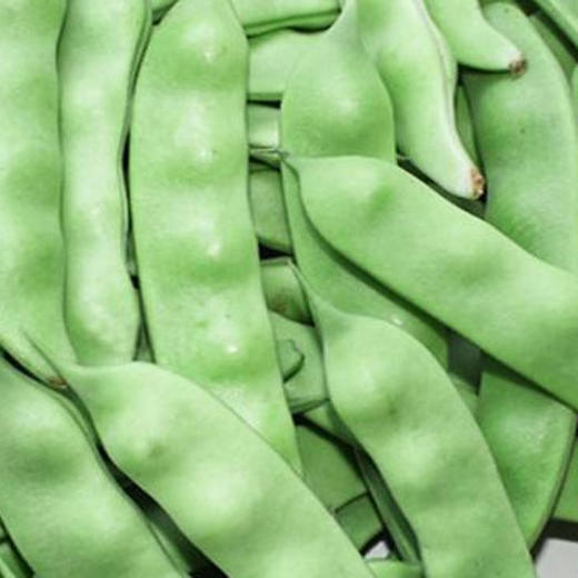 油豆(500g±50g) 商品图0