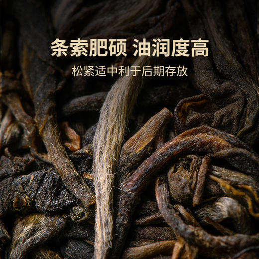 澜沧古茶2019年明前野香大饼普洱生茶七子茶饼357g 商品图1
