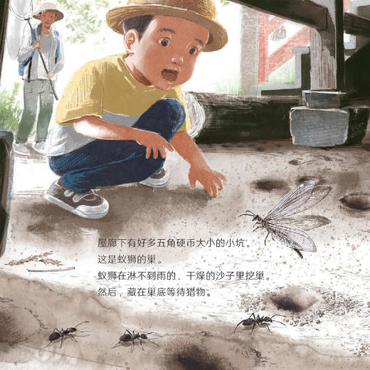 《科学之友·大自然里的博物课》（共7册） 商品图6