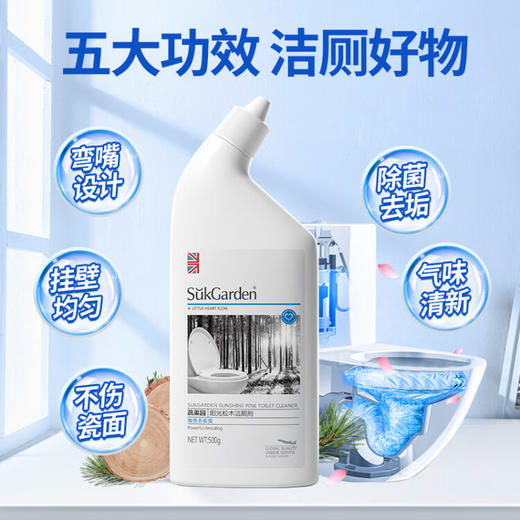 蔬果园 阳光松木洁厕剂  500g*5瓶 商品图1