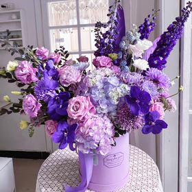 《胡姬兰》紫色高奢版抱抱桶