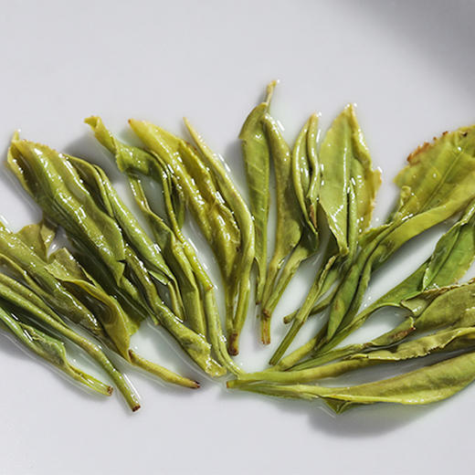 毕节七星关【奢香贡茶】多种规格多种包装 优质产地 老树茶 精心栽培 自然晾晒 传统工艺 全国包邮部分地区不发货 商品图4